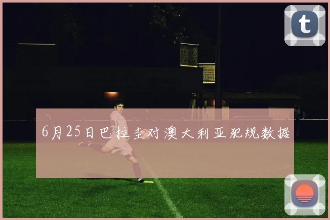 6月25日巴拉圭对澳大利亚犯规数据