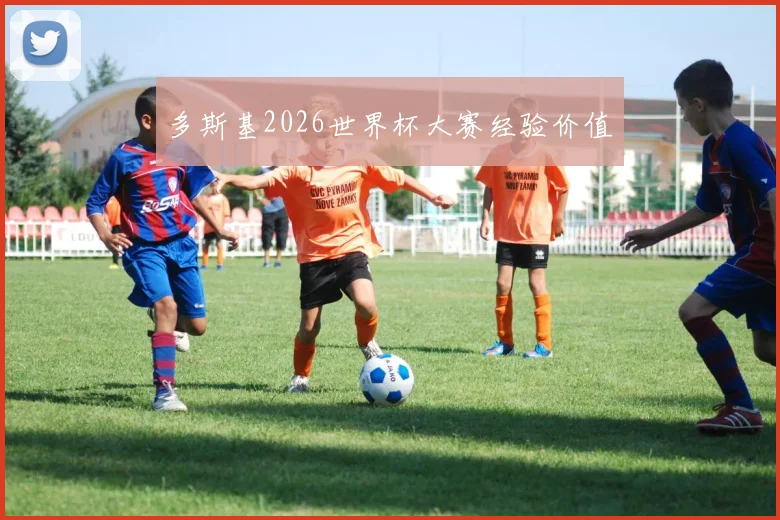 多斯基2026世界杯大赛经验价值
