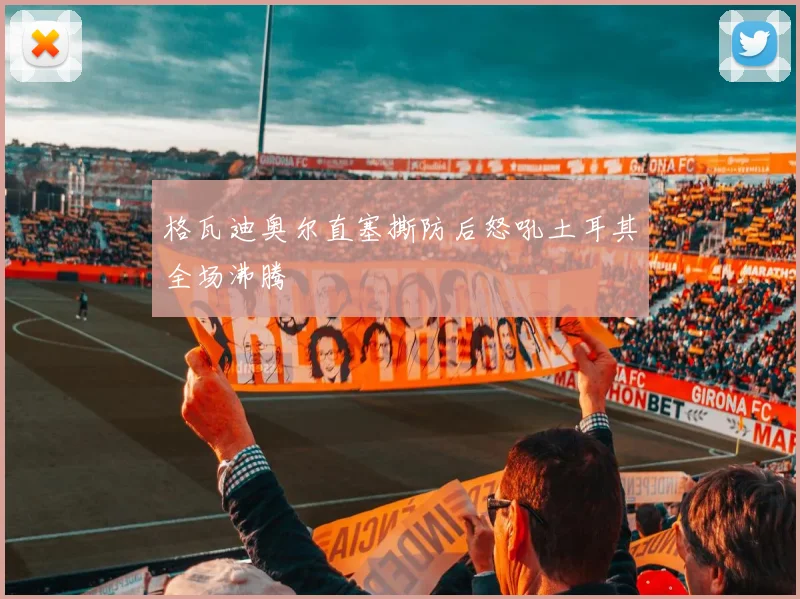 格瓦迪奥尔直塞撕防后怒吼土耳其全场沸腾