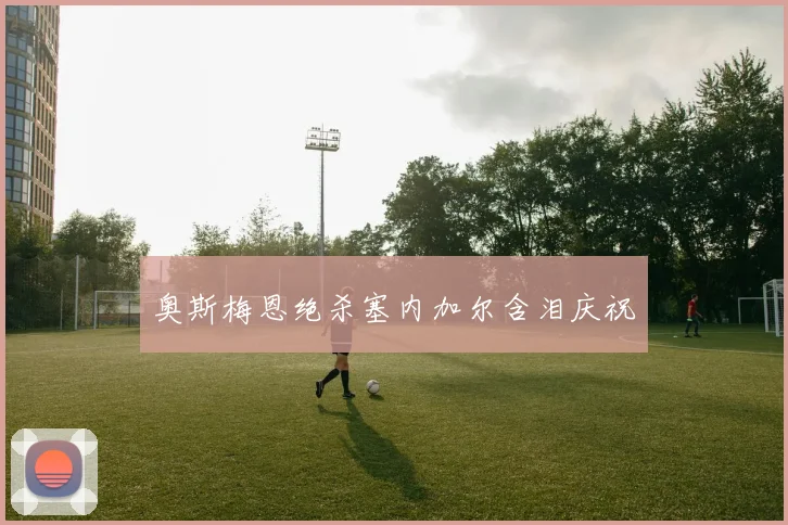 奥斯梅恩绝杀塞内加尔含泪庆祝