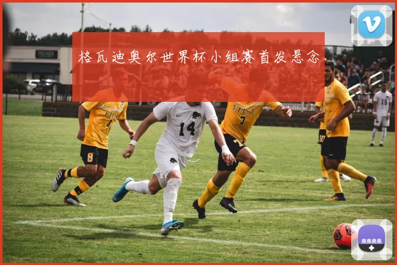 格瓦迪奥尔世界杯小组赛首发悬念