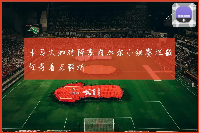 卡马文加对阵塞内加尔小组赛拦截任务看点解析