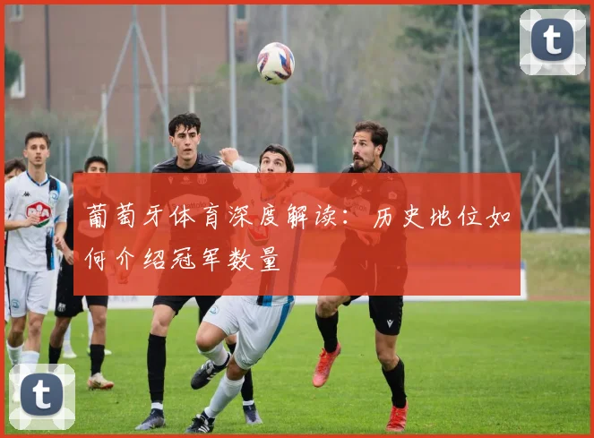 葡萄牙体育深度解读：历史地位如何介绍冠军数量