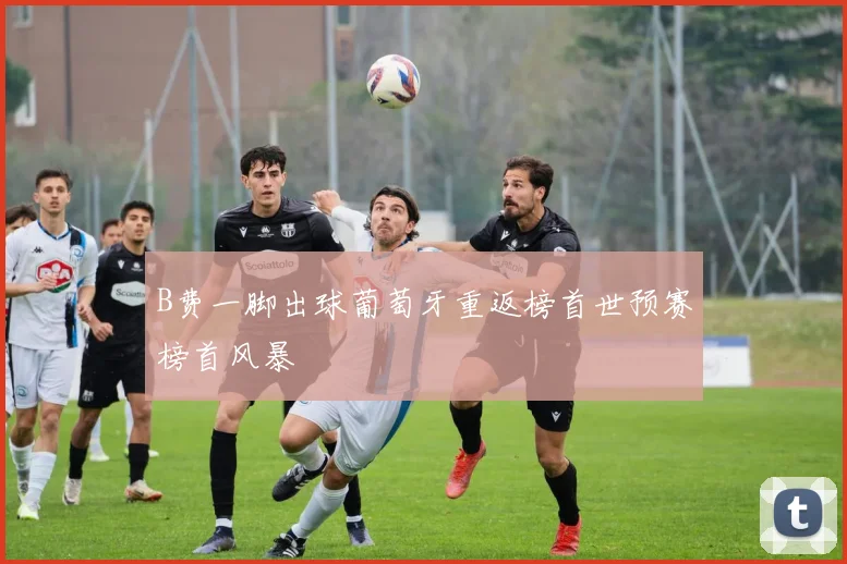 B费一脚出球葡萄牙重返榜首世预赛榜首风暴