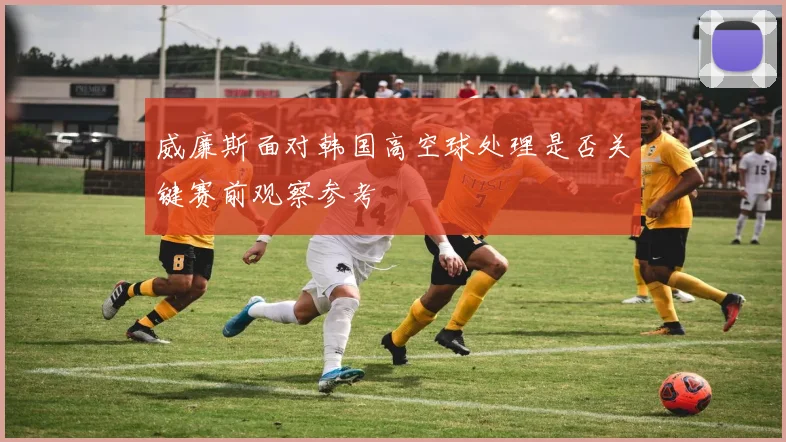 威廉斯面对韩国高空球处理是否关键赛前观察参考