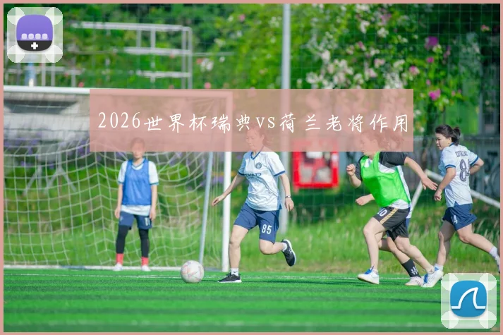2026世界杯瑞典vs荷兰老将作用