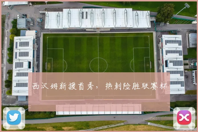 西汉姆新援首秀，热刺险胜联赛杯