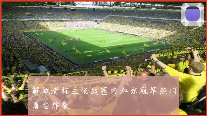 解放者杯主场战塞内加尔冠军热门看台炸裂