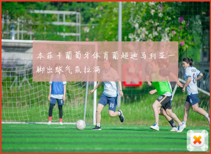 本菲卡葡萄牙体育葡超迪马利亚一脚出球气氛拉满