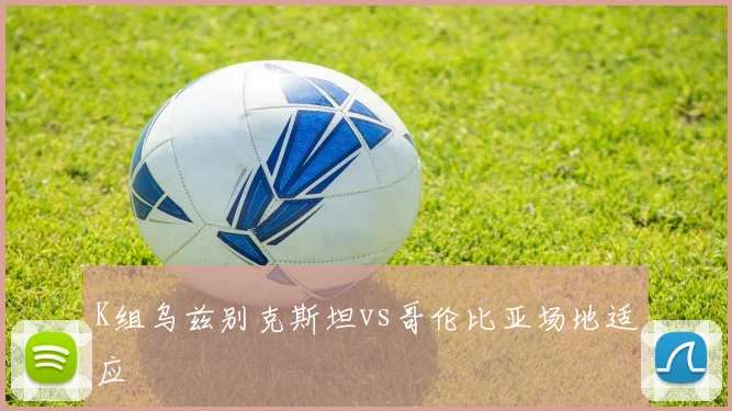 K组乌兹别克斯坦vs哥伦比亚场地适应